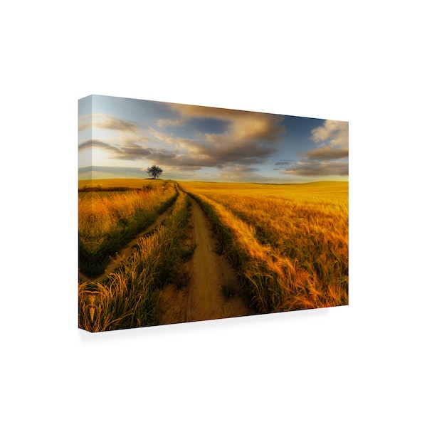 Piotr Krol 'Yellow Clouds' Canvas Art,30x47